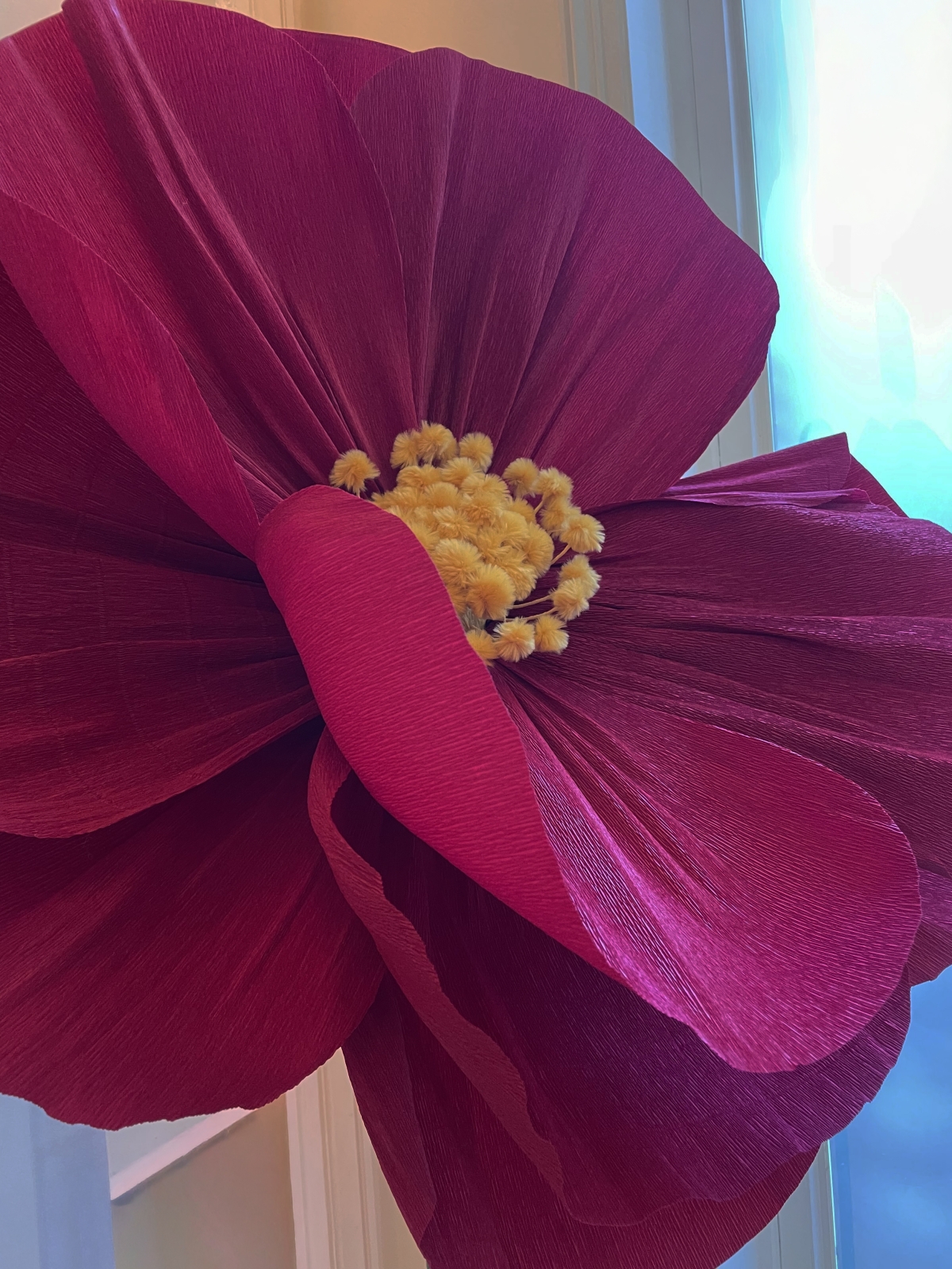 Coty Review